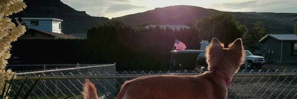myagentcindy's profile banner image