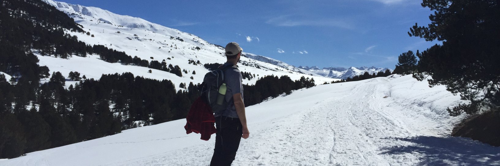 DavidAmigo5's profile banner image