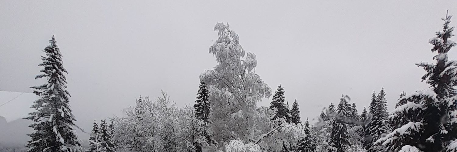 Dominiquesxm's profile banner image