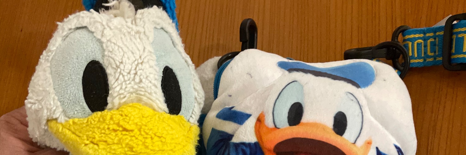 youkolarcsid's profile banner image