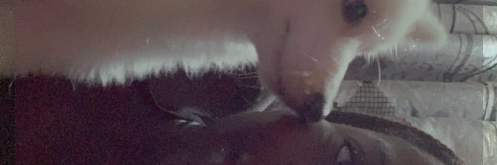 Ms_detola's profile banner image