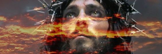 bikudo3's profile banner image