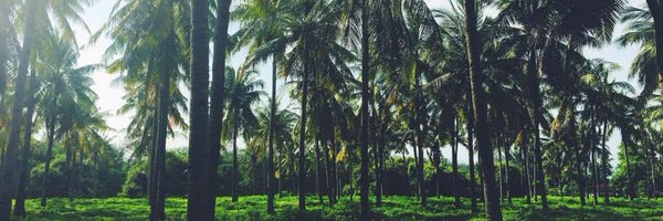 ClaraCron Profile Banner