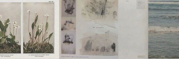 ttonyami Profile Banner