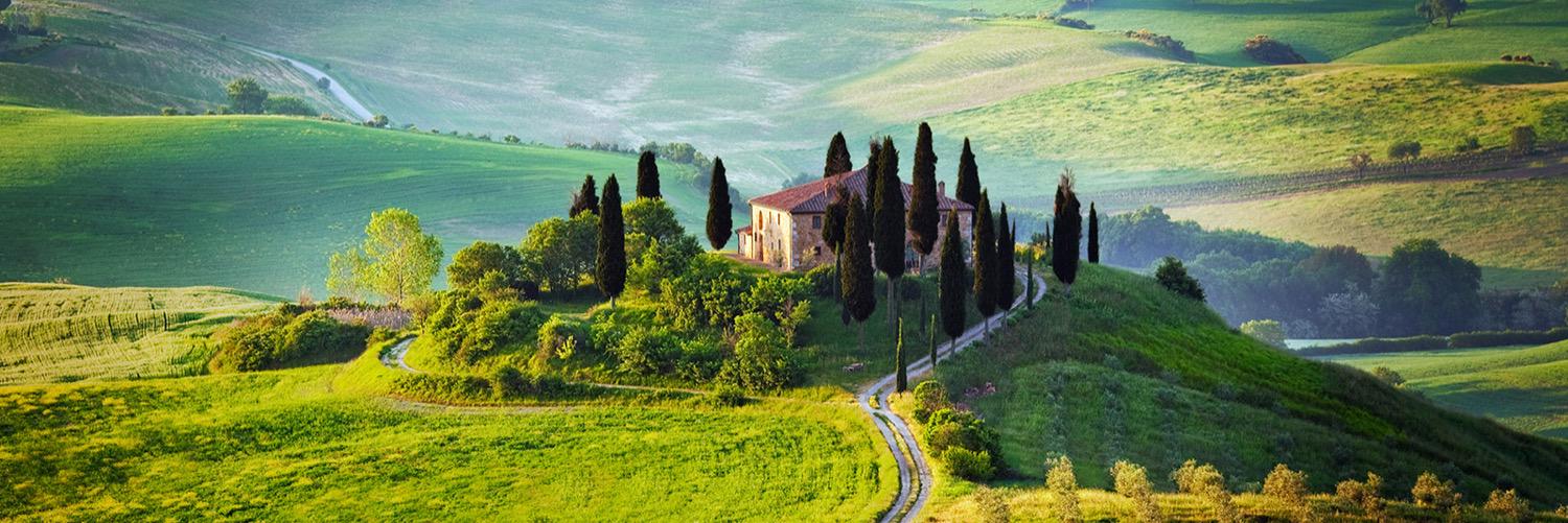 Maurizio Mattesini banner