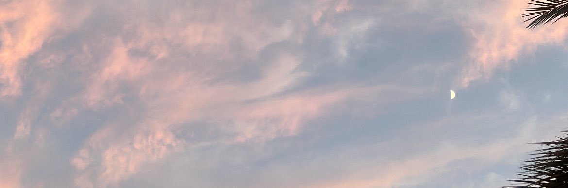 itsjustorel's profile banner image