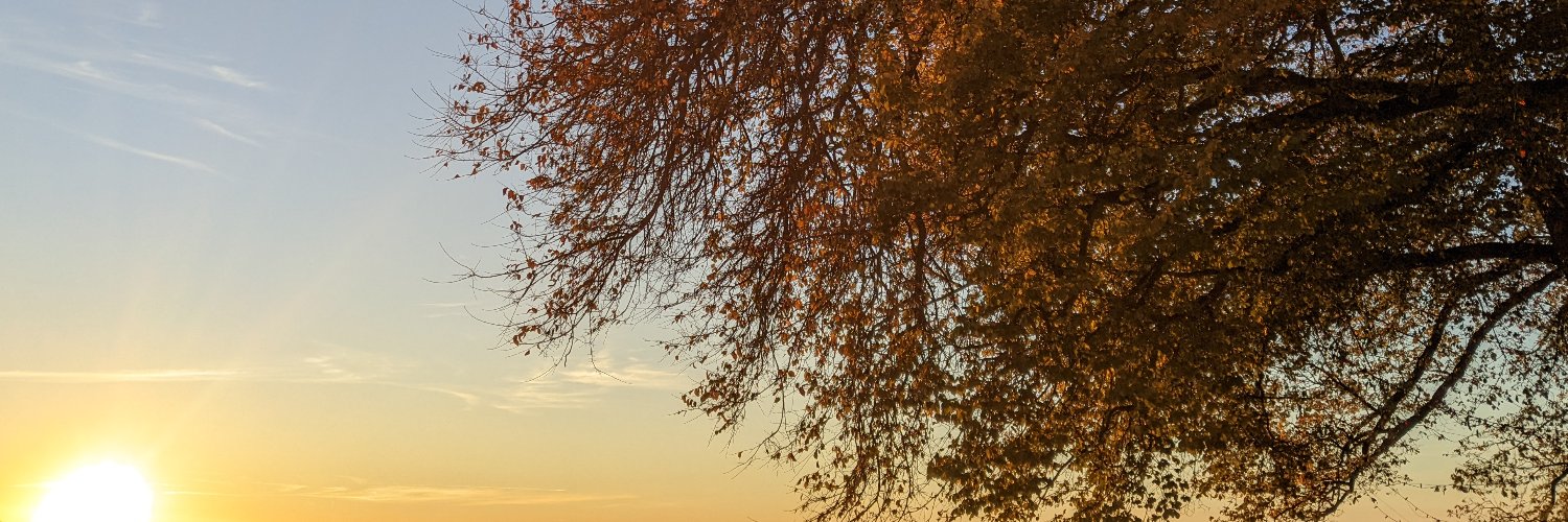 SabaMoghimi's profile banner image
