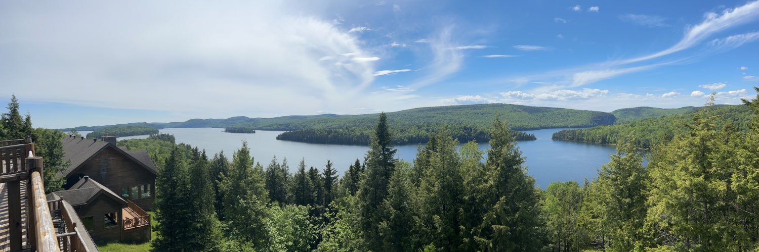 Alexia Laroche Joub banner