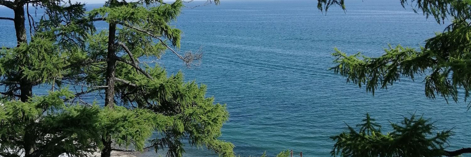 Вадим banner