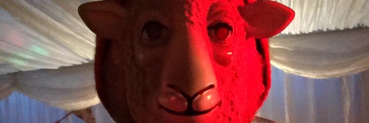 metrunker's profile banner image