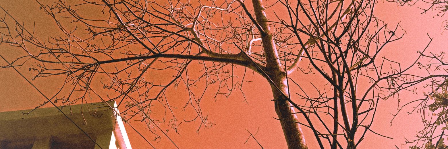 rishikesh_menon's profile banner image
