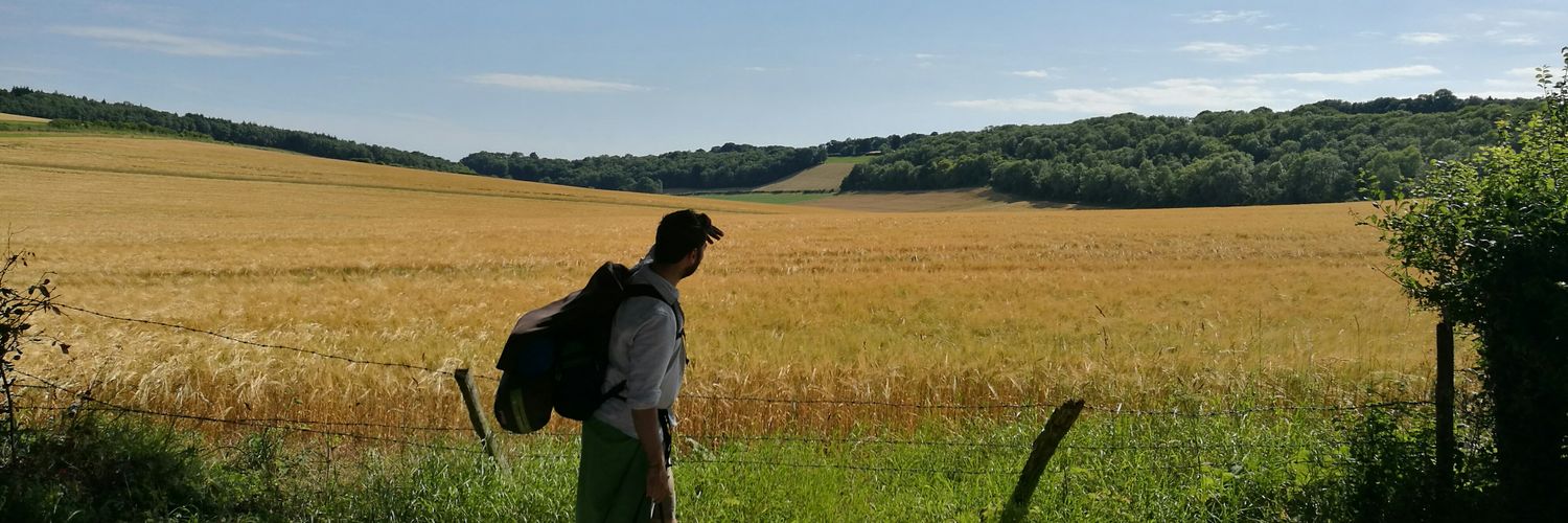 VascoGDM's profile banner image