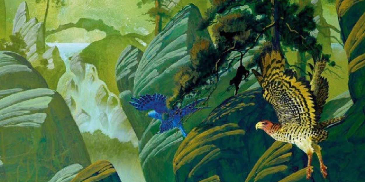 birdbathbuzz's profile banner image