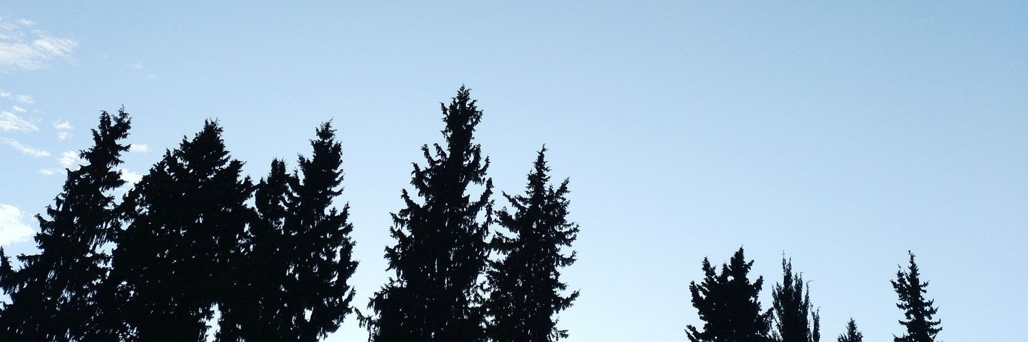 lorentzoantunez's profile banner image