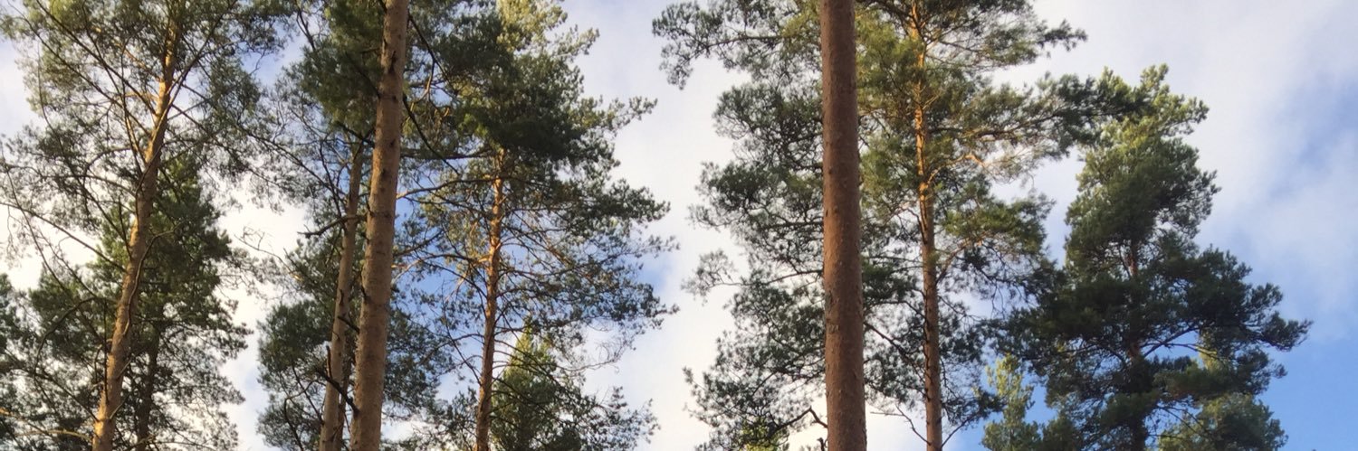 Sannamari Ollikkala banner