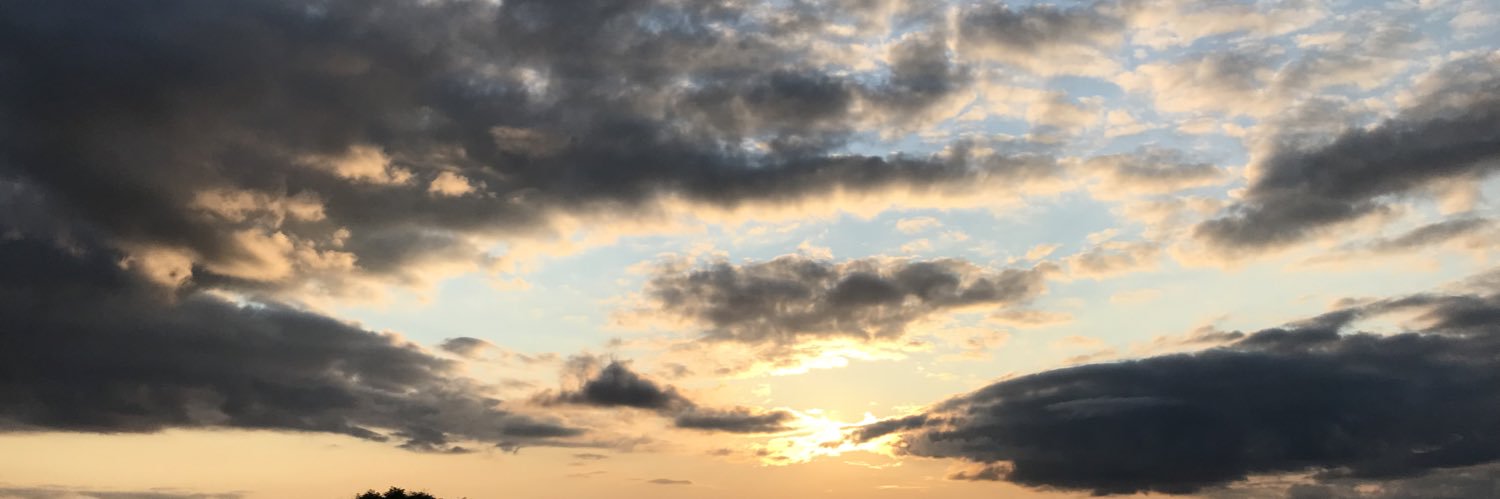 davidclarkdsi's profile banner image