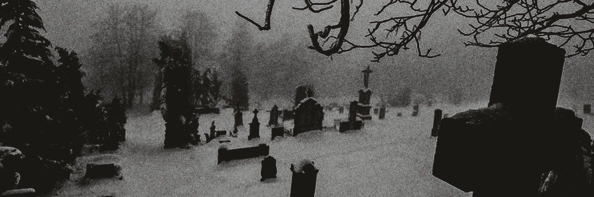 suarsemara's profile banner image