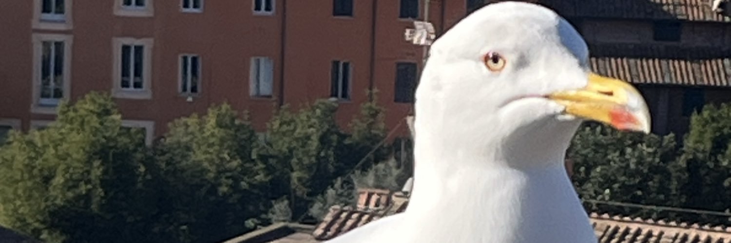 MagnusonBen's profile banner image