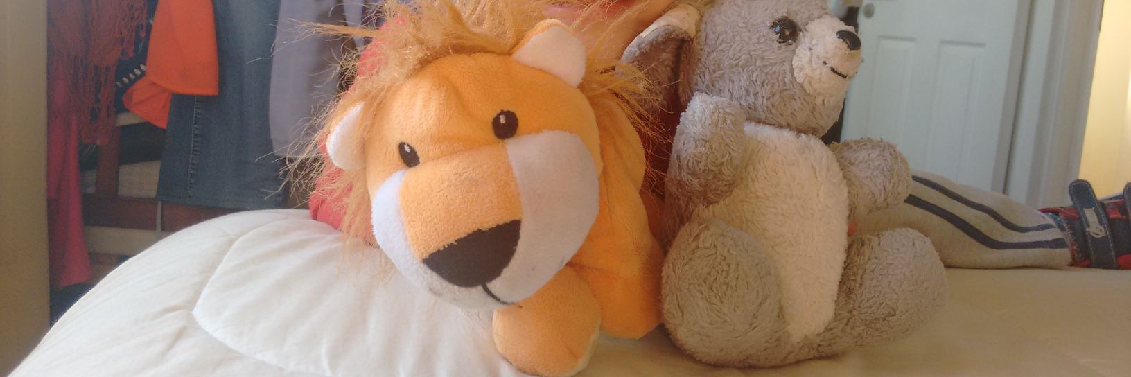 Cristian Olguín banner