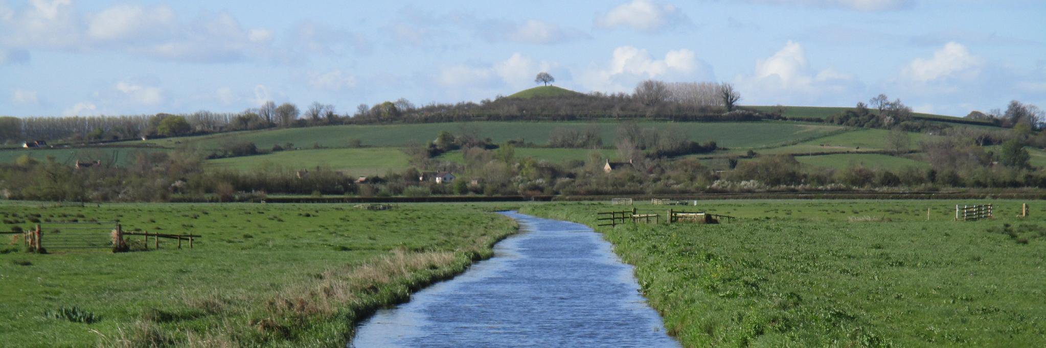 Love the Levels banner