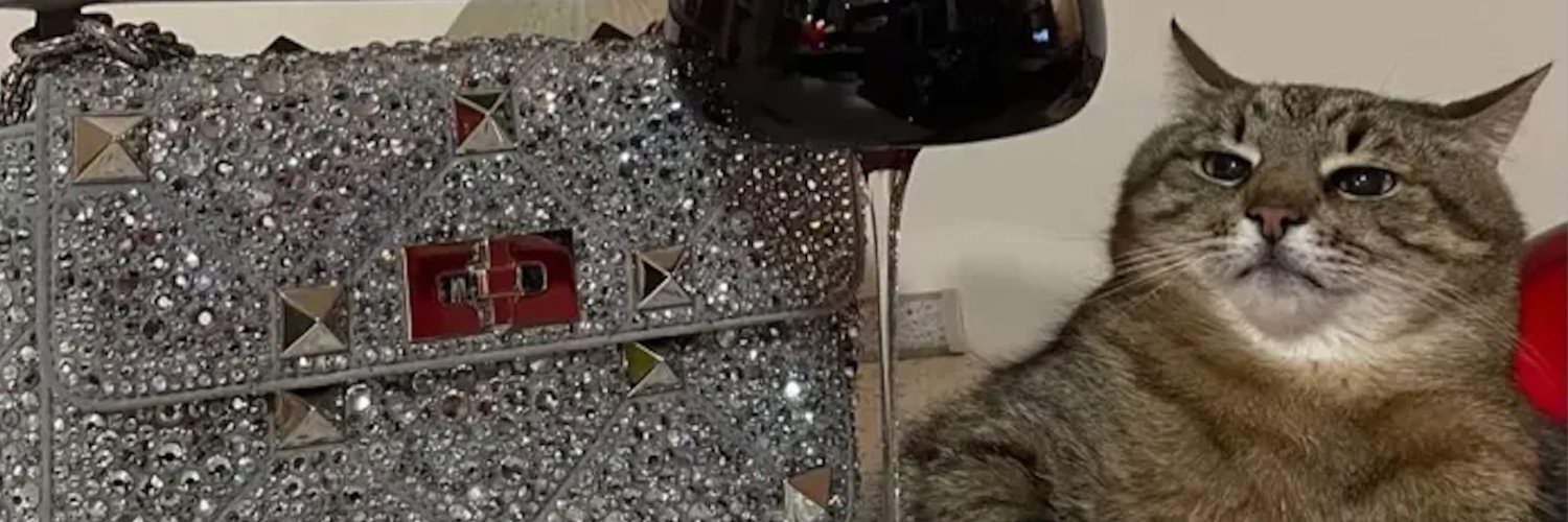 alecarru_'s profile banner image