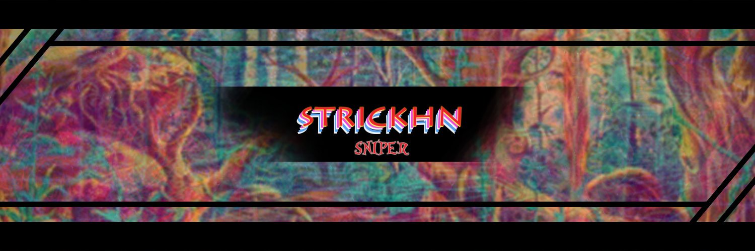 Strickhn's profile banner image