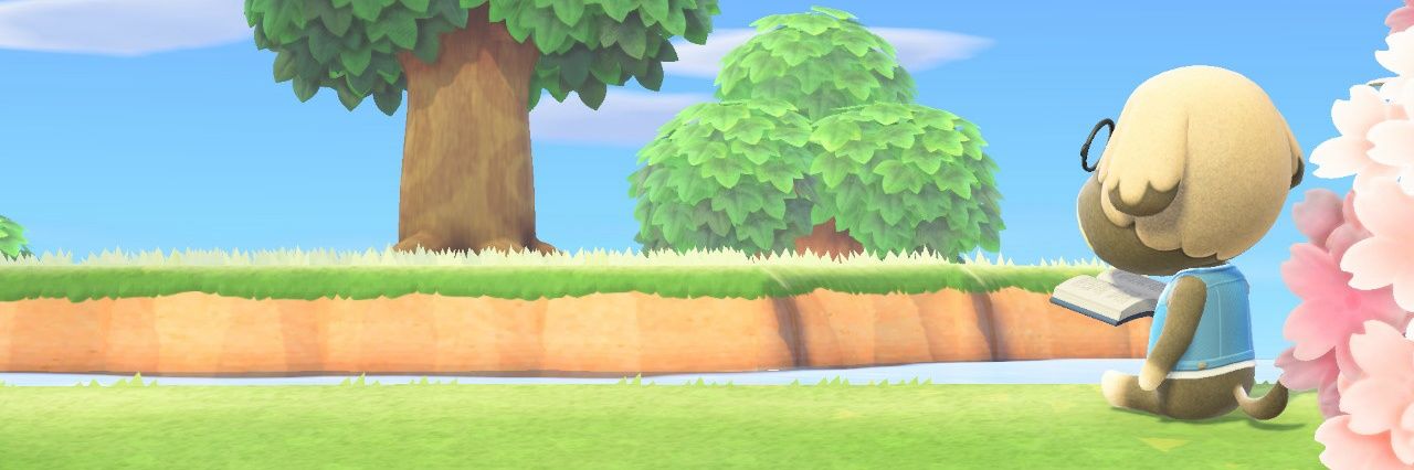 DragonwolfRooke's profile banner image