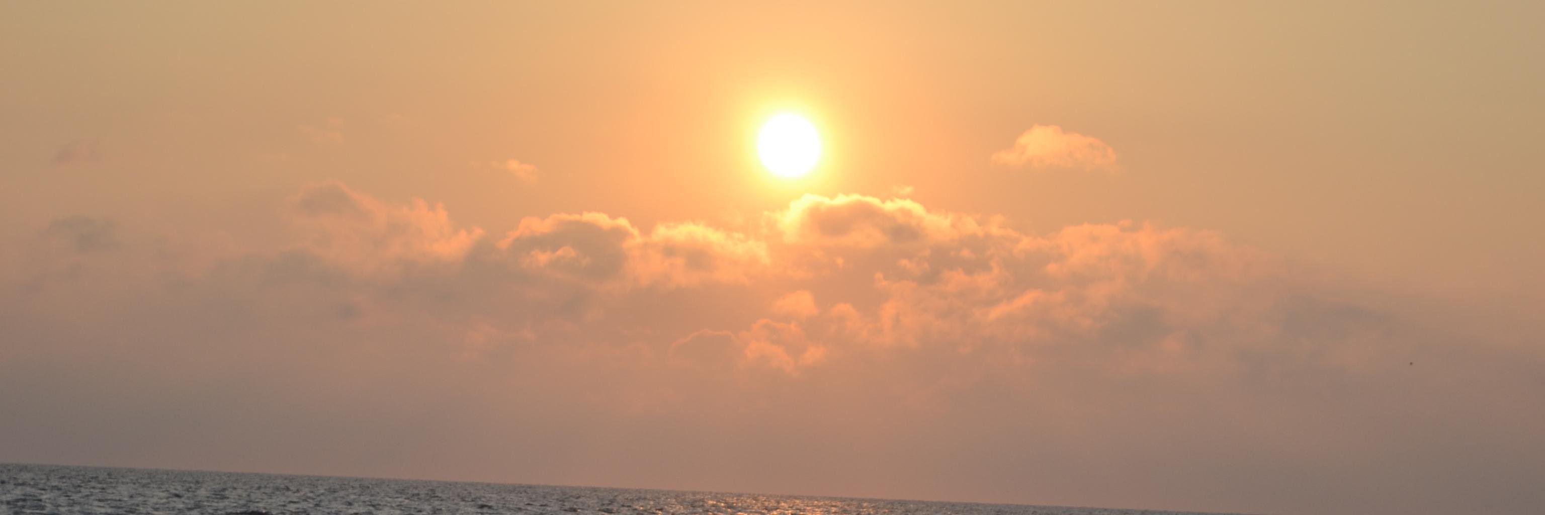TomAelbrecht's profile banner image