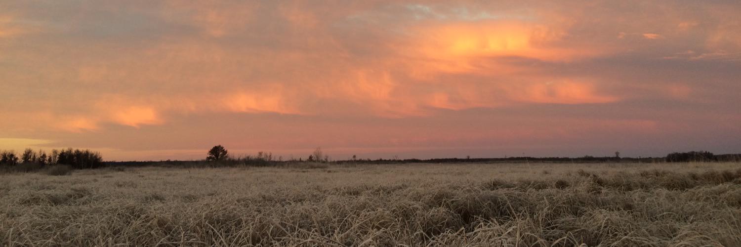markbfisk's profile banner image