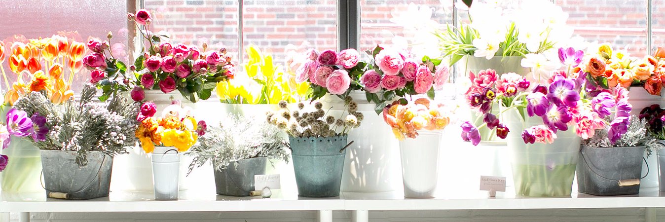 🌸YASMIN🌸 banner