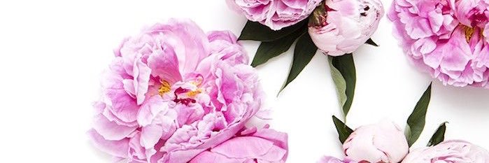 kjf444's profile banner image