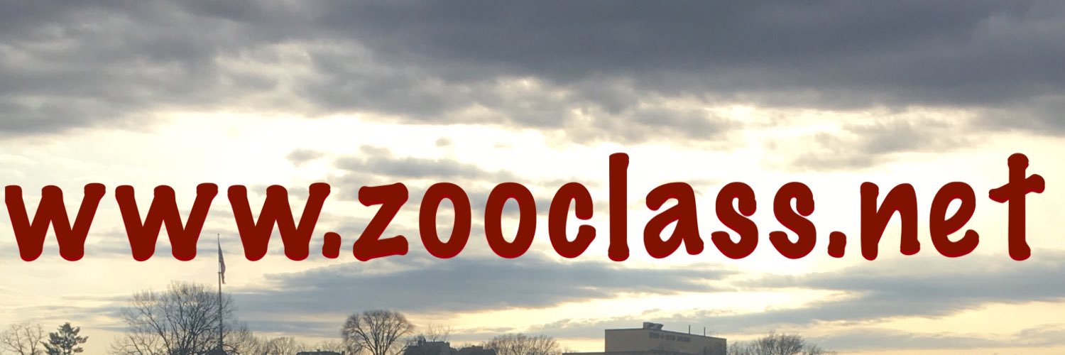 Zoo_Class's profile banner image