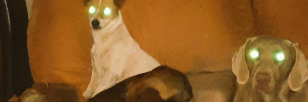 asbuys's profile banner image