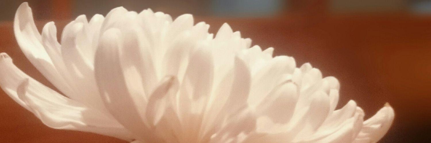 dintjes's profile banner image