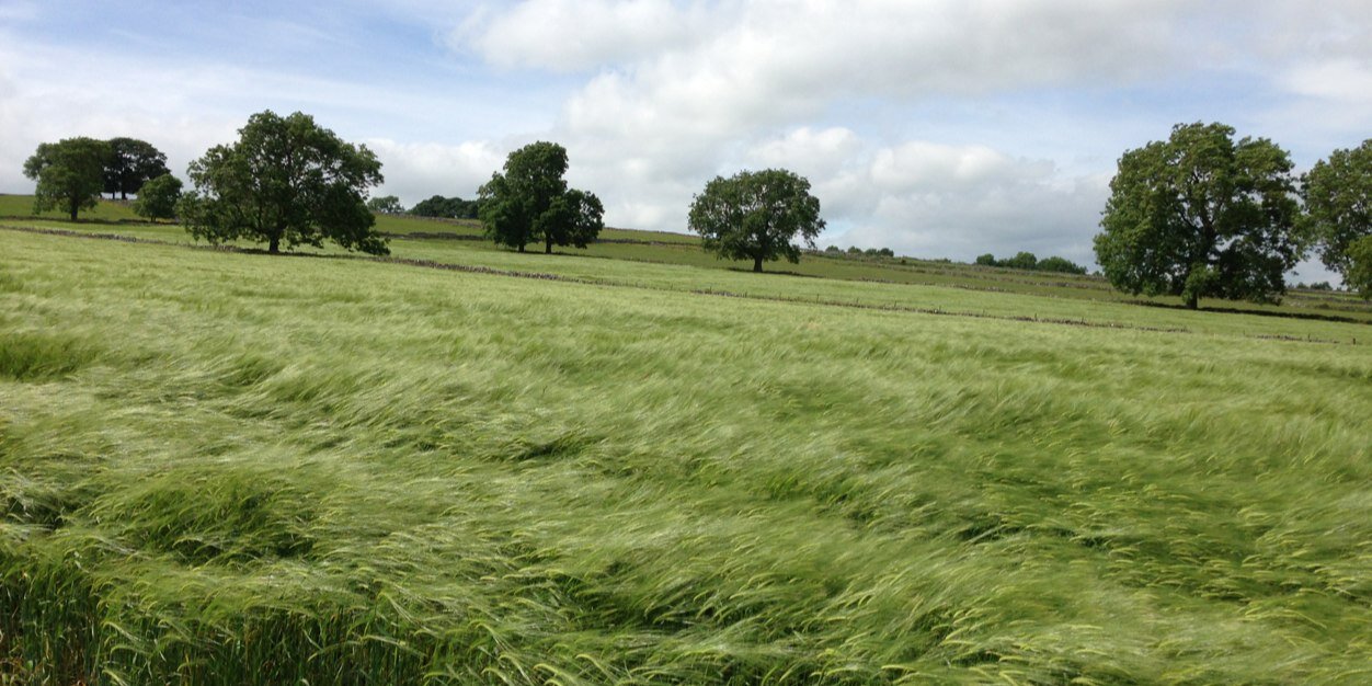HLarard's profile banner image
