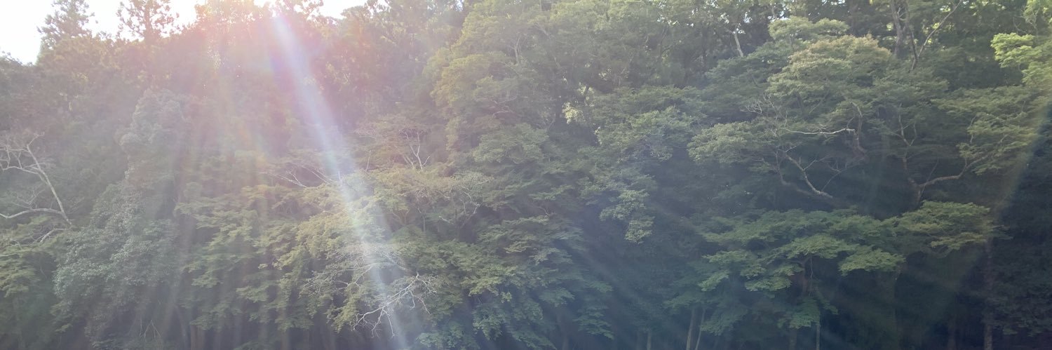 chichuns2's profile banner image