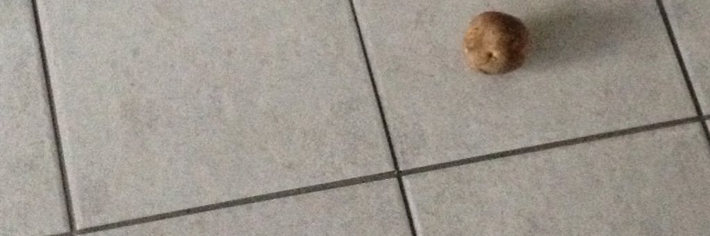 ludeboy_'s profile banner image