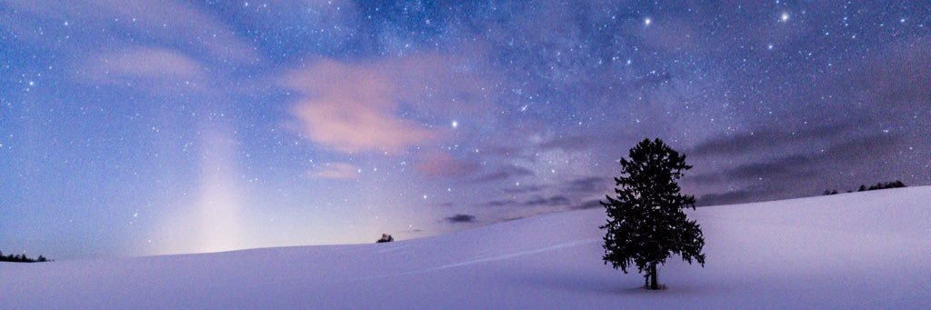 ren_pgsh's profile banner image