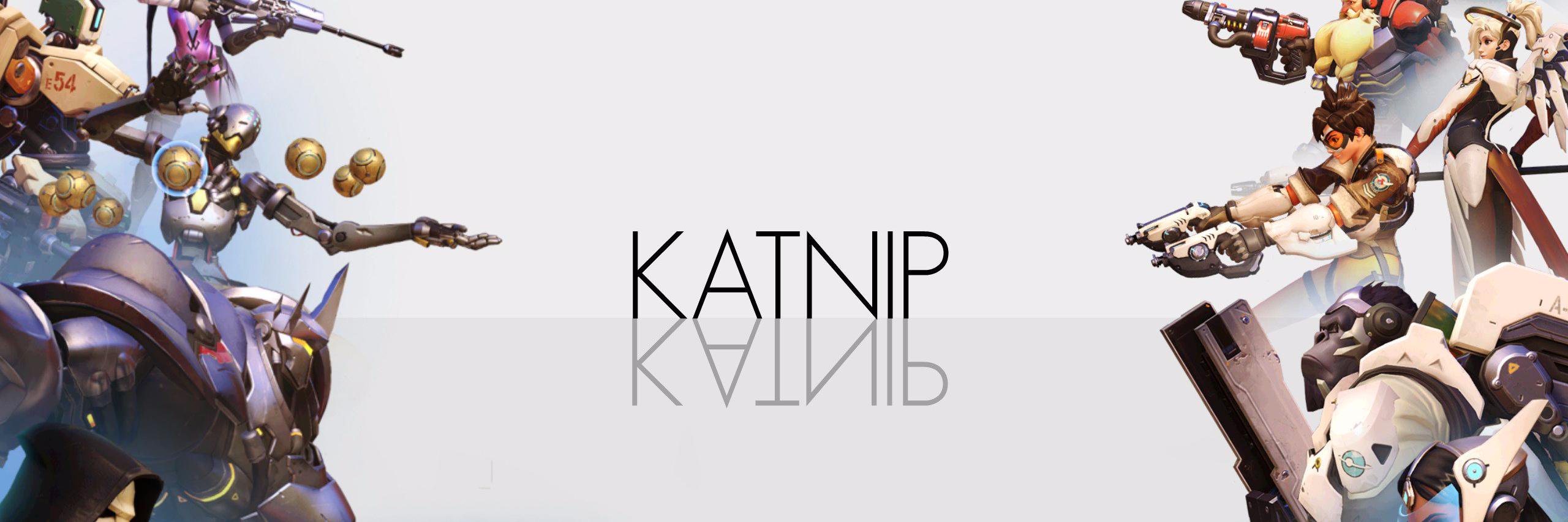 itskatnipkat's profile banner image