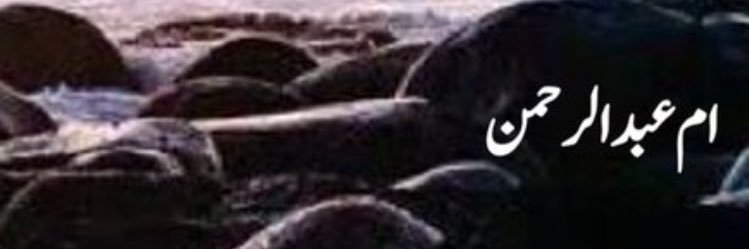 ام.عبد الرحمن banner