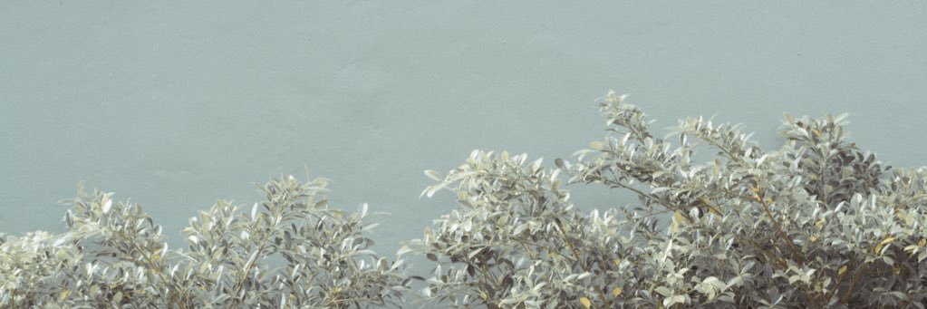 Jpanicha's profile banner image