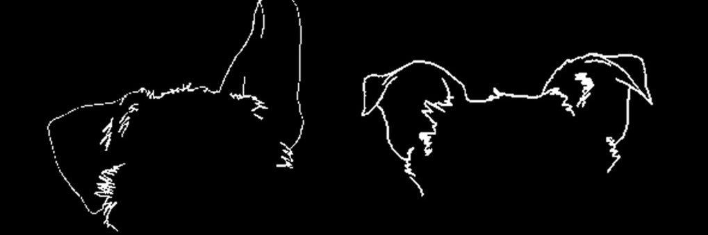 IreneRamos14's profile banner image