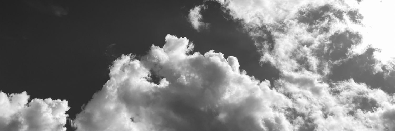 MarinaLamas's profile banner image