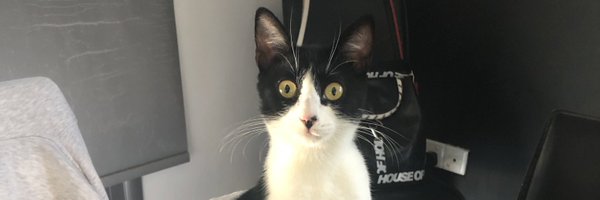 soffwiIIiams Profile Banner