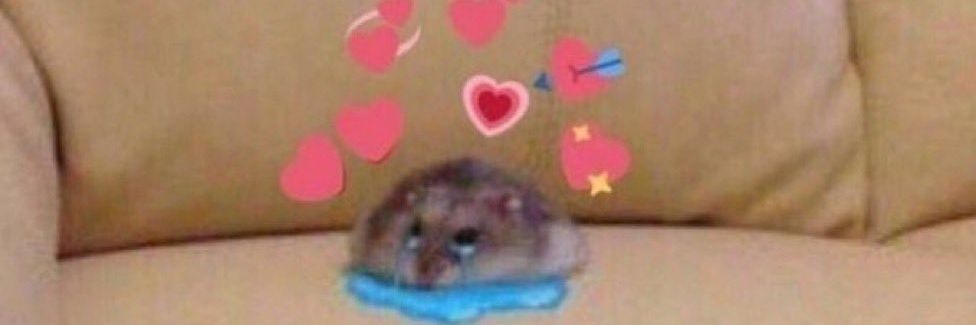 byebye1111uwu's profile banner image