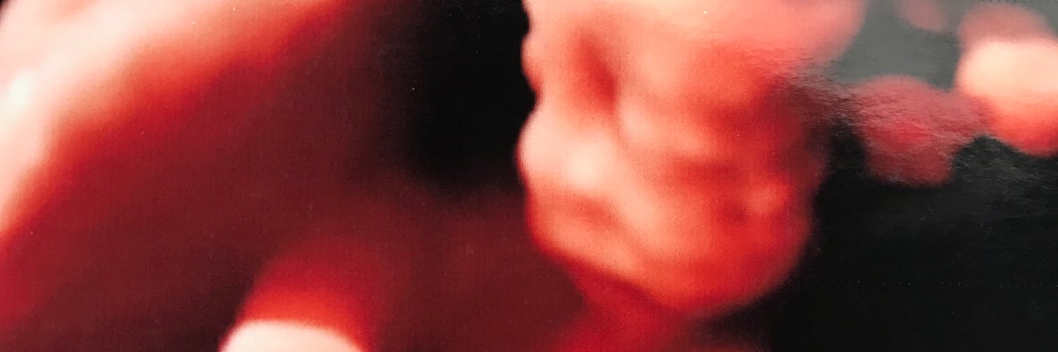 indimutz's profile banner image