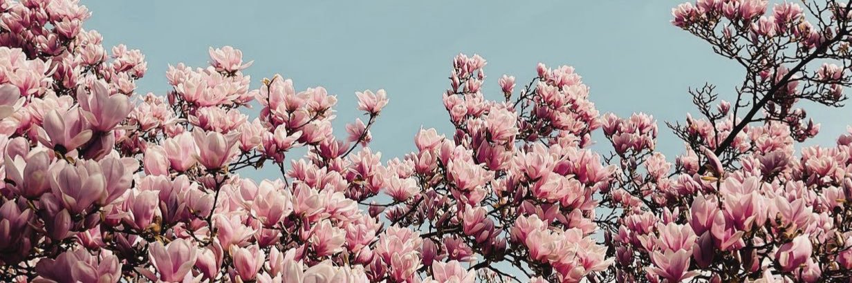 de__________'s profile banner image