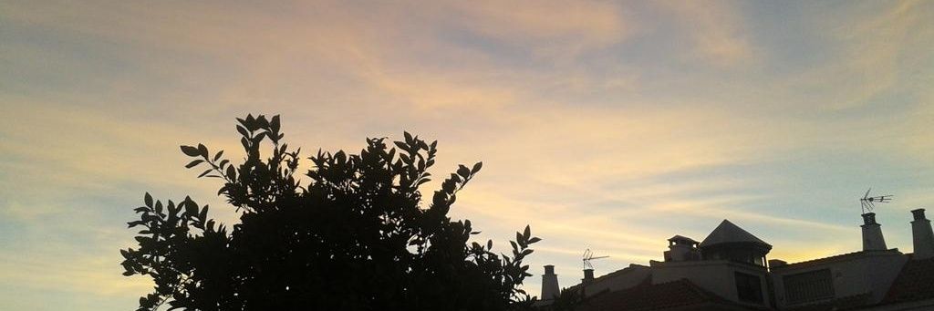 PatriMorillo7's profile banner image