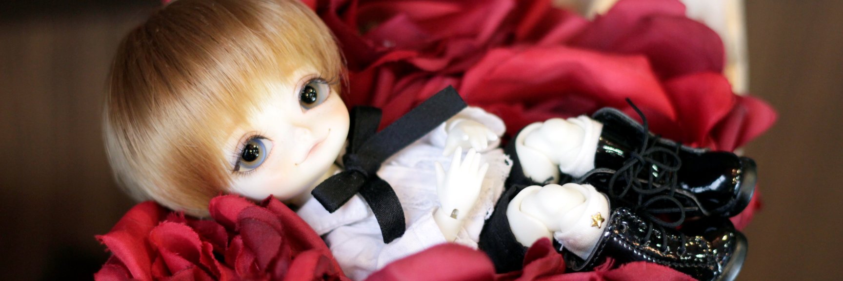 roku_doll's profile banner image