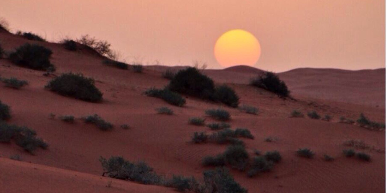alinalfahad's profile banner image